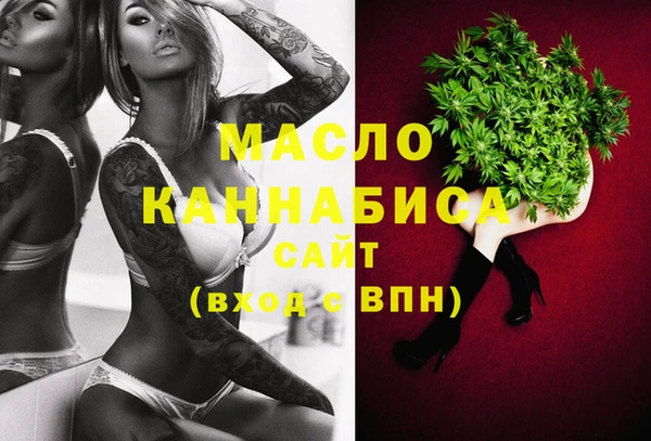 гашик Бородино