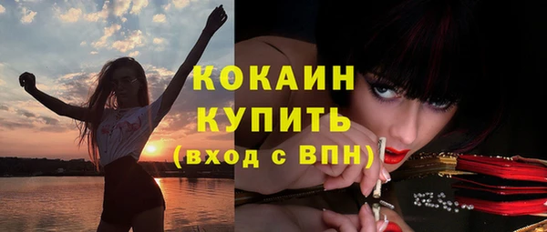 гашик Бородино