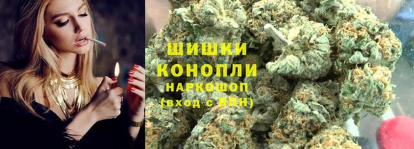 гашик Бородино