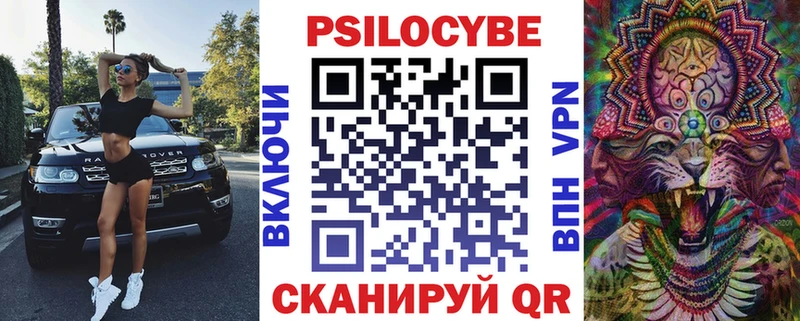 наркота  Волгореченск  Галлюциногенные грибы Cubensis 